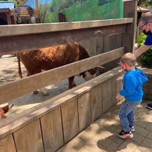 Meet your Posher, Christina